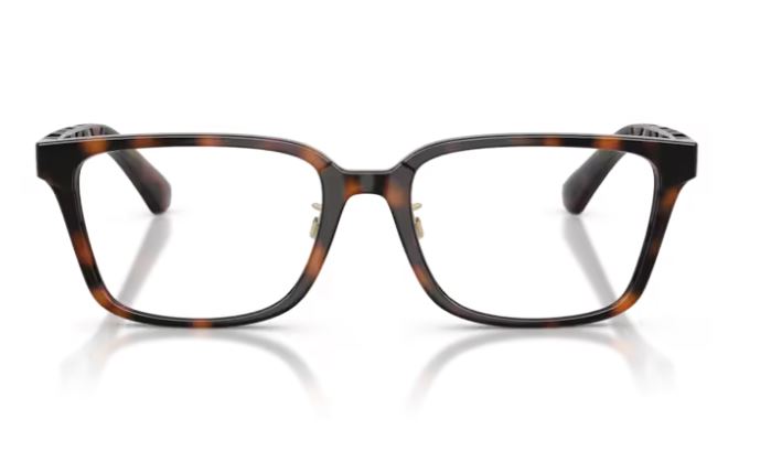 BURBERRY BE2450D 3002