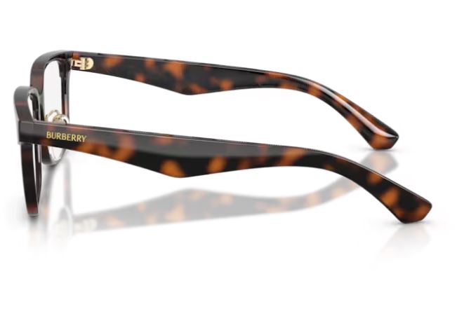 BURBERRY BE2450D 3002