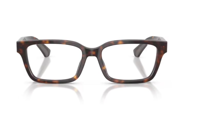 BURBERRY BE2453 4205