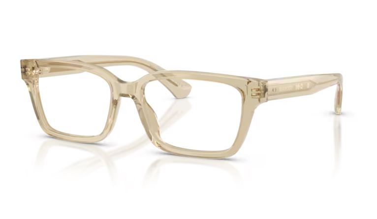 BURBERRY BE2453 4226
