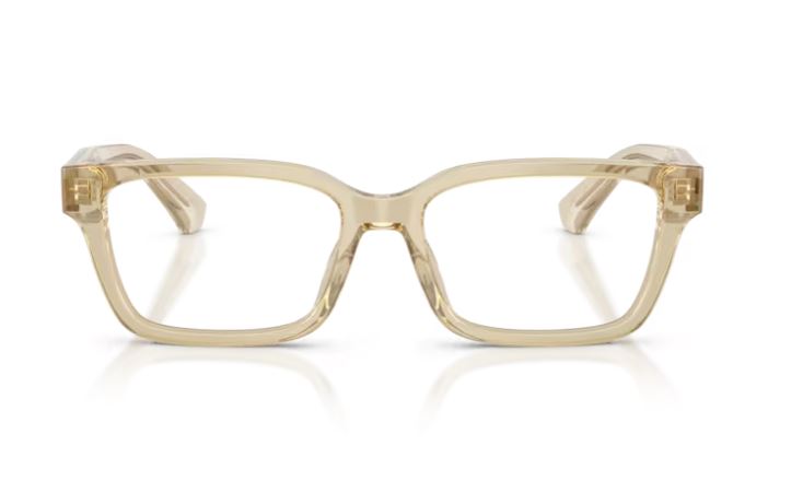 BURBERRY BE2453 4226