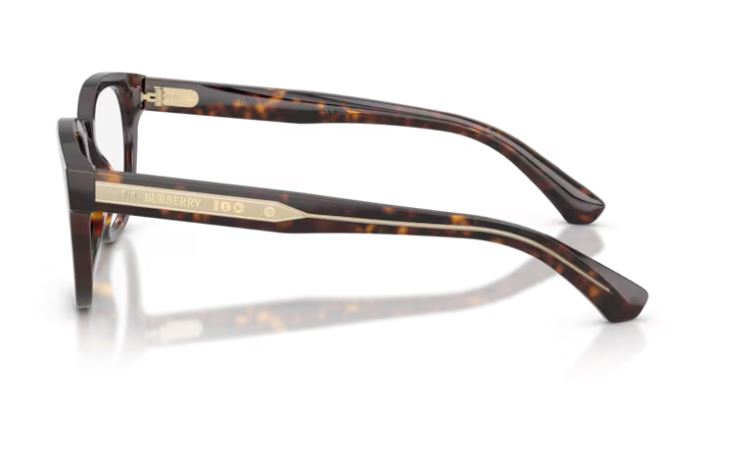 BURBERRY BE2454 4205