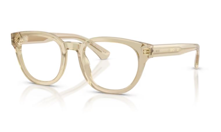 BURBERRY BE2454 4226
