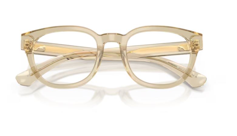 BURBERRY BE2454 4226