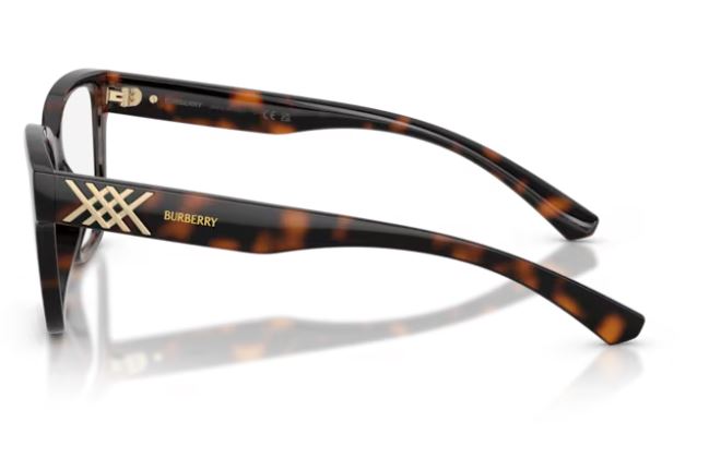 BURBERRY BE2457U 3002