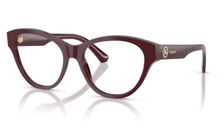 BURBERRY BE2458 4119