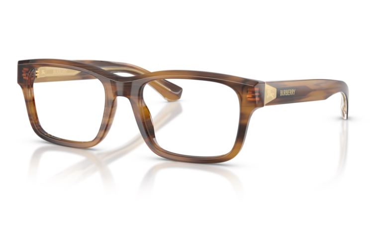 BURBERRY BE2469 4253