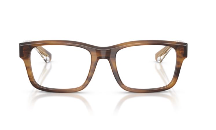 BURBERRY BE2469 4253
