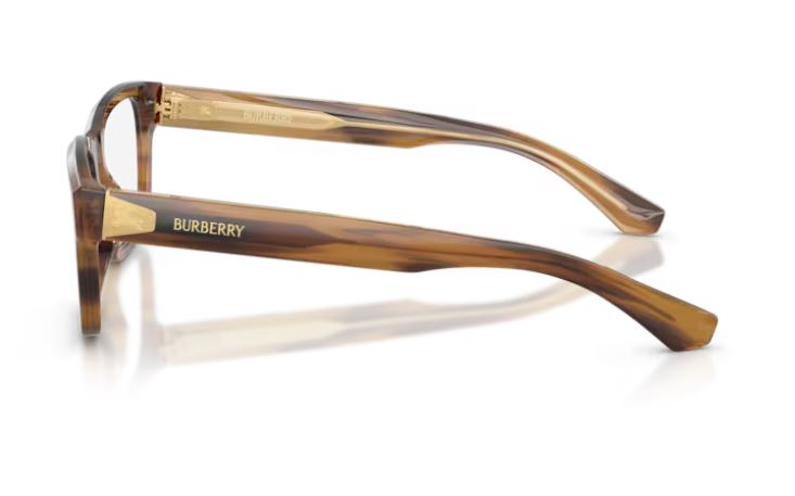 BURBERRY BE2469 4253
