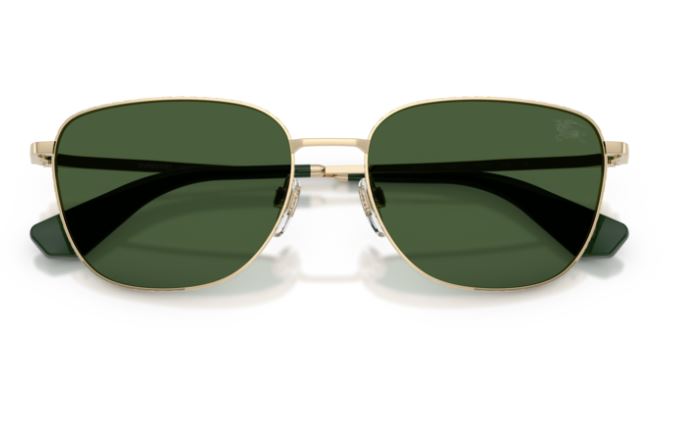 BURBERRY BE3171 110971