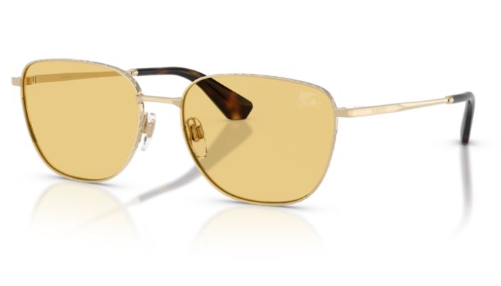 BURBERRY BE3171 110985