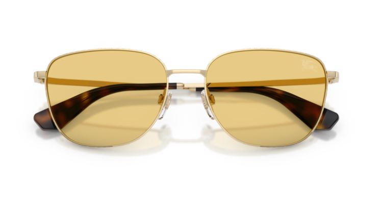 BURBERRY BE3171 110985