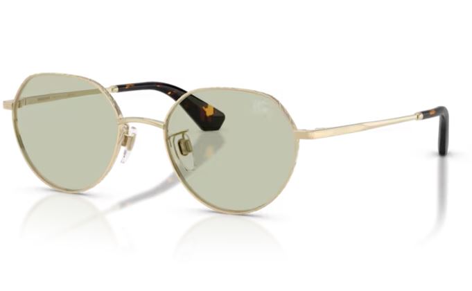 BURBERRY BE3173D 11092