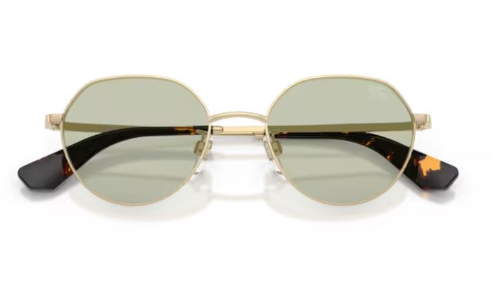 BURBERRY BE3173D 11092