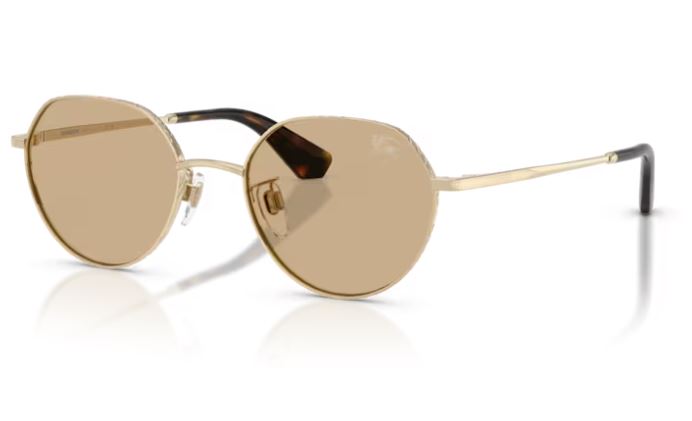 BURBERRY BE3173D 110973