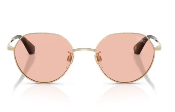 BURBERRY BE3173D 110984