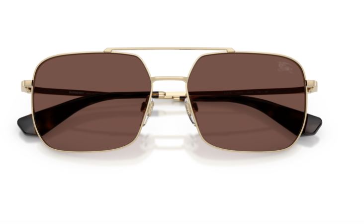 BURBERRY BE3179 110973