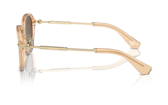 BURBERRY BE4429D 406373