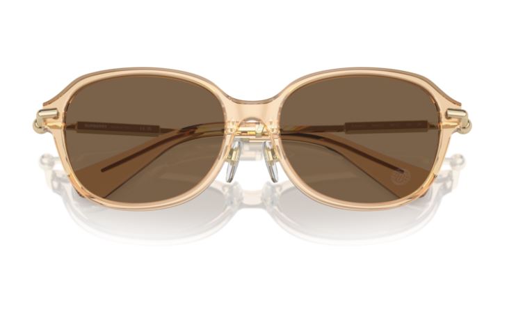 BURBERRY BE4429D 406373