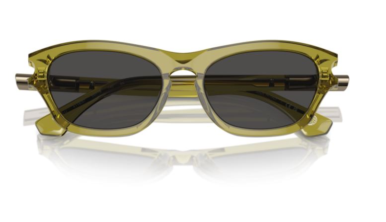 BURBERRY BE4430U 411887