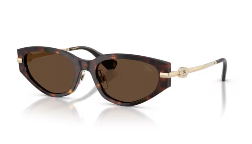 BURBERRY BE4493D 300273