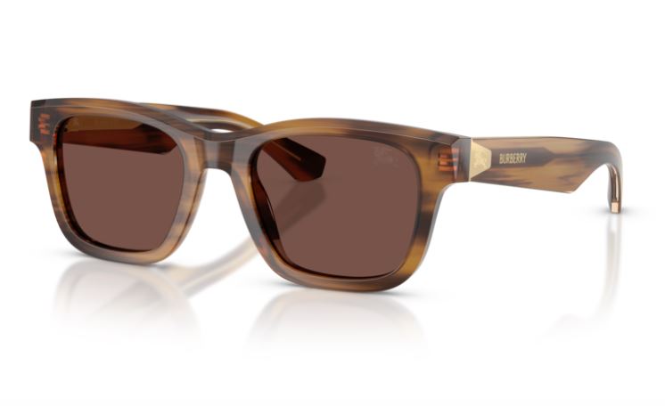 BURBERRY BE4504 425373