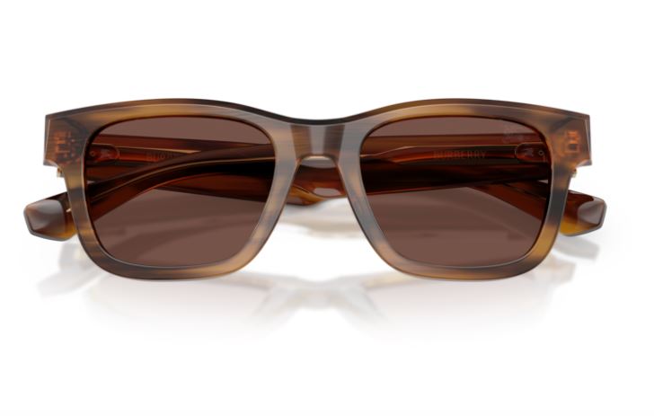 BURBERRY BE4504 425373