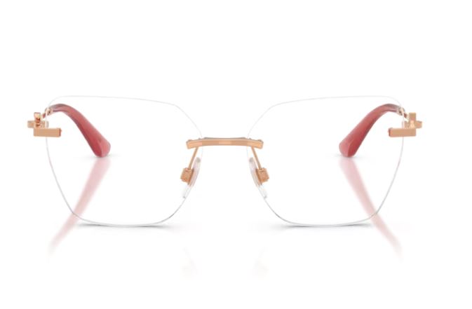 DOLCE & GABBANA DG1363 1298