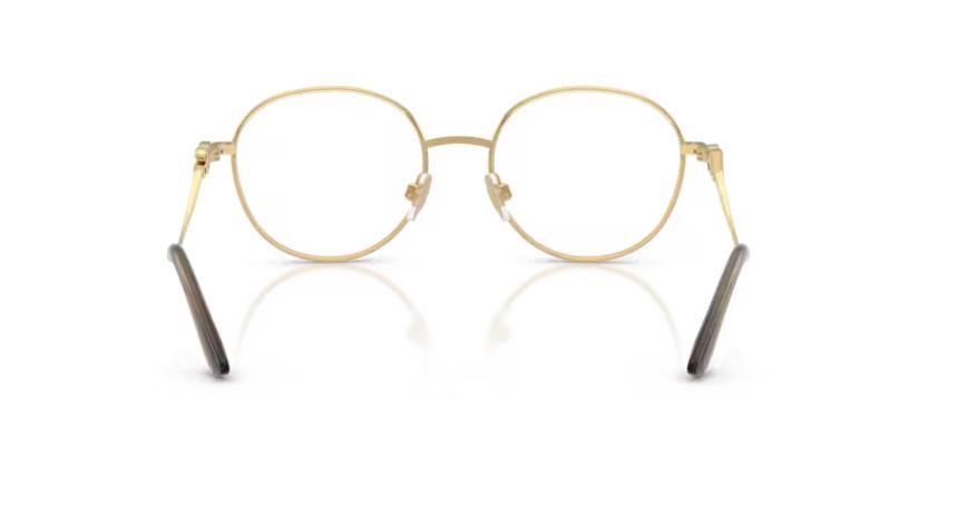 DOLCE & GABBANA DG1365 1334