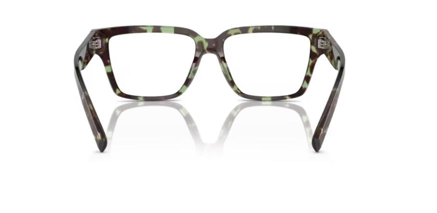 DOLCE & GABBANA DG3383 3432 - Havana green
