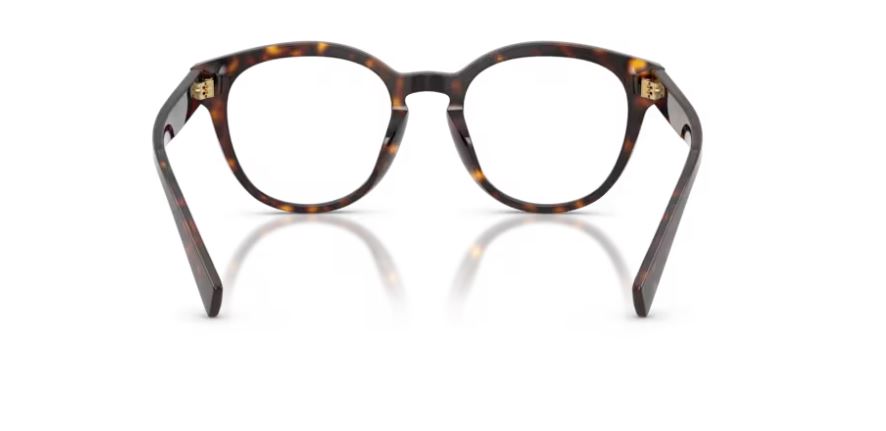 DOLCE & GABBANA DG3421 502 - Havana