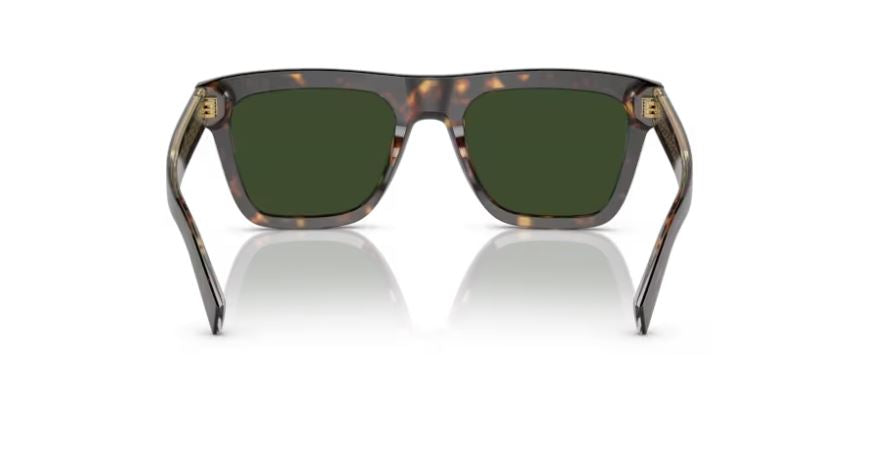 DOLCE & GABBANA DG4420 502/71 - Havana
