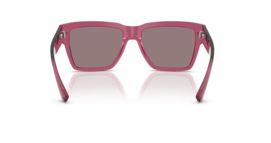 DOLCE & GABBANA DG4431 32117N - Transparent bordeaux