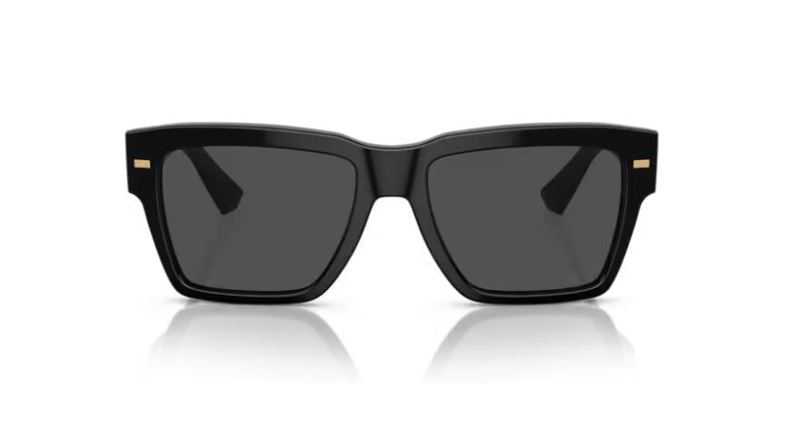 DOLCE & GABBANA DG4431 501/87 - Black