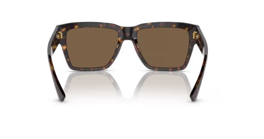 DOLCE & GABBANA DG4431 502/73 - Havana