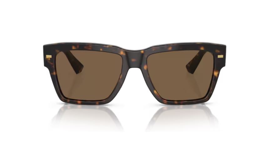 DOLCE & GABBANA DG4431 502/73 - Havana
