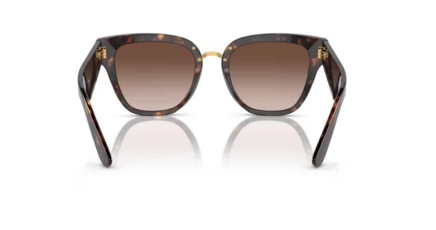 DOLCE & GABBANA DG4437 502/13 - Havana