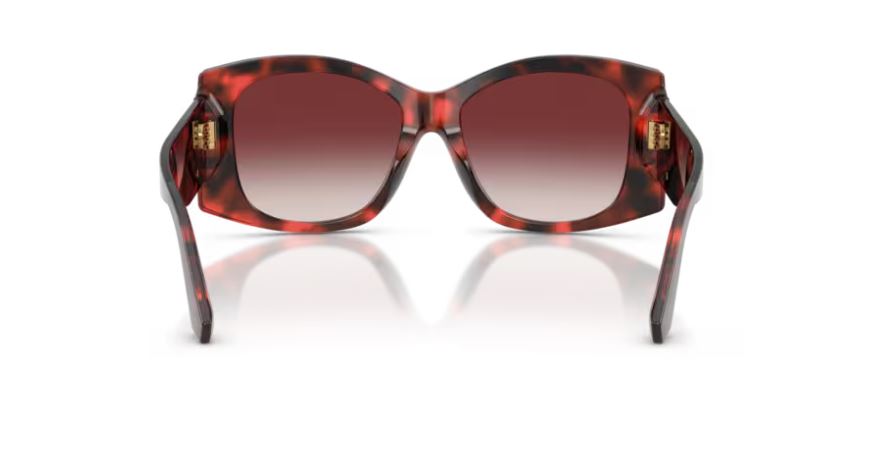 DOLCE & GABBANA DG4501 33588H - Red havana