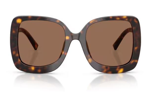 DOLCE & GABBANA DG4513 50273
