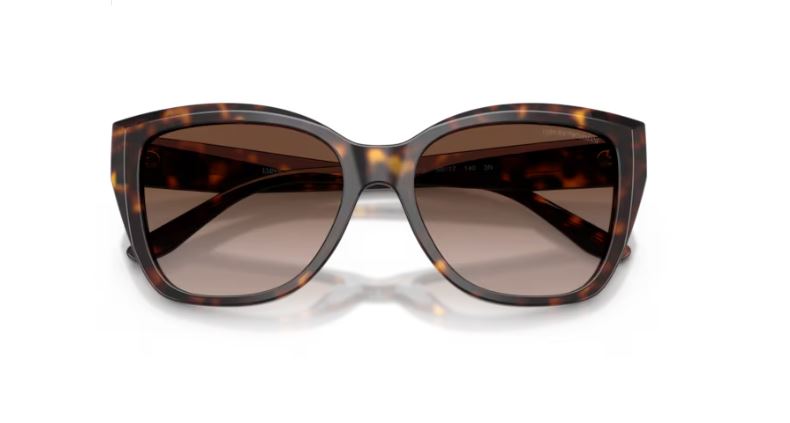 EMPORIO ARMANI EA4198 502613