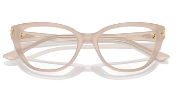JIMMY CHOO  JC3011 5025