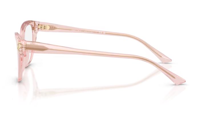 JIMMY CHOO JC3011 5034