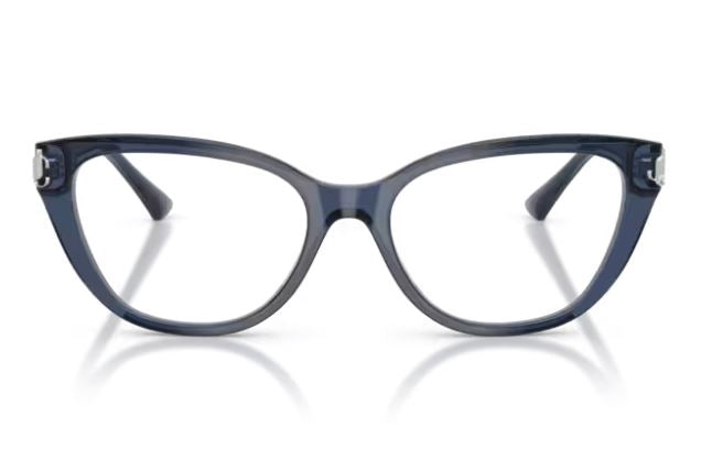 JIMMY CHOO JC3011 5035