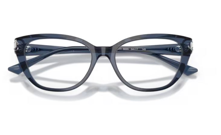 JIMMY CHOO JC3011 5035