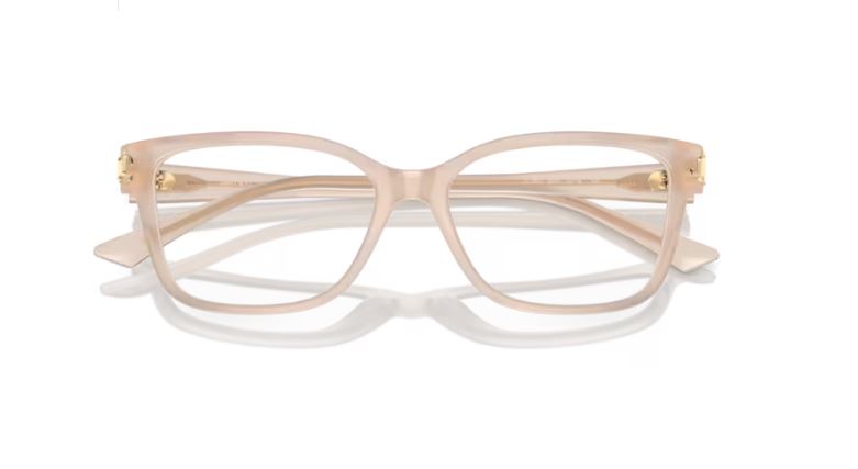 JIMMY CHOO JC3012 5025