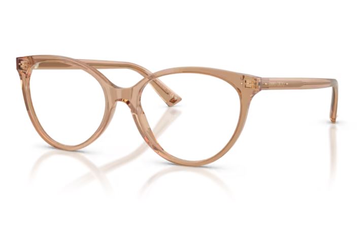 JIMMY CHOO JC3047 5076