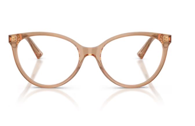 JIMMY CHOO JC3047 5076