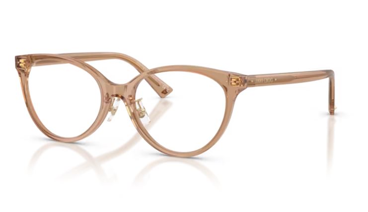 JIMMY CHOO JC3047F 5076