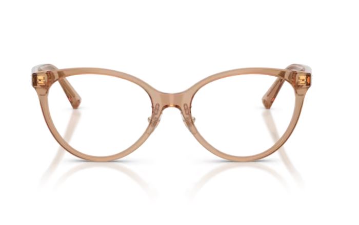 JIMMY CHOO JC3047F 5076