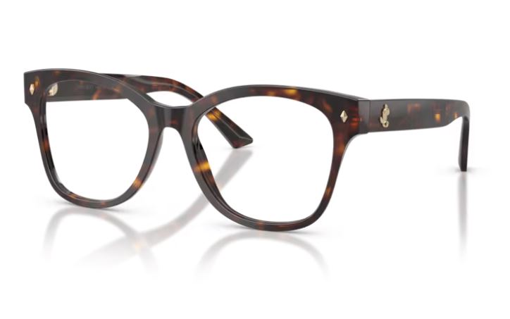 JIMMY CHOO JC3056 5002